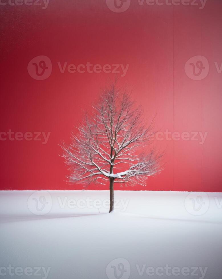 A lone tree in the snow against a red wall photo