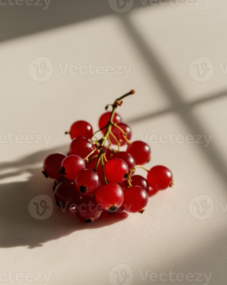 Freshly picked red currants in a cluster photo