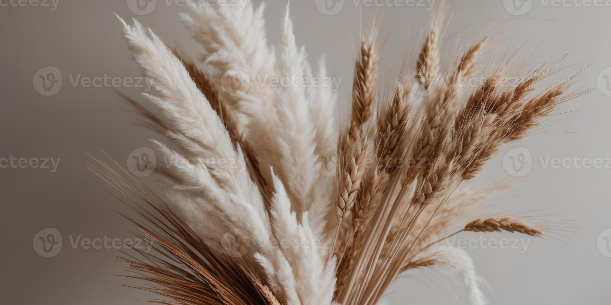 A vase with some dried grasses in it photo