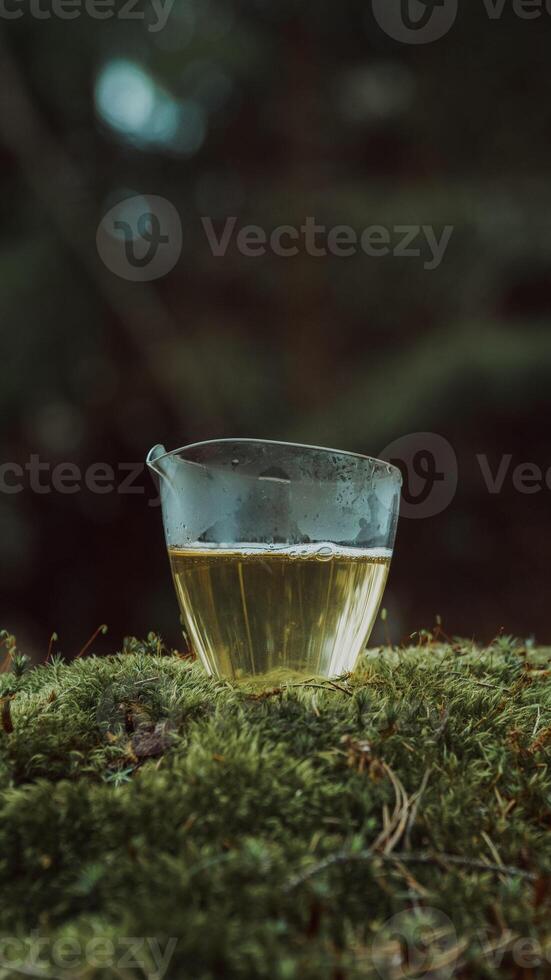 A Glass of Herbal Tea Carefully Placed on the Mossy Ground Surrounded by Natures Beauty photo