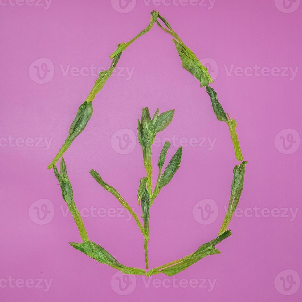Art that draws inspiration from nature, specifically creating beautiful leaf art in vibrant colors photo