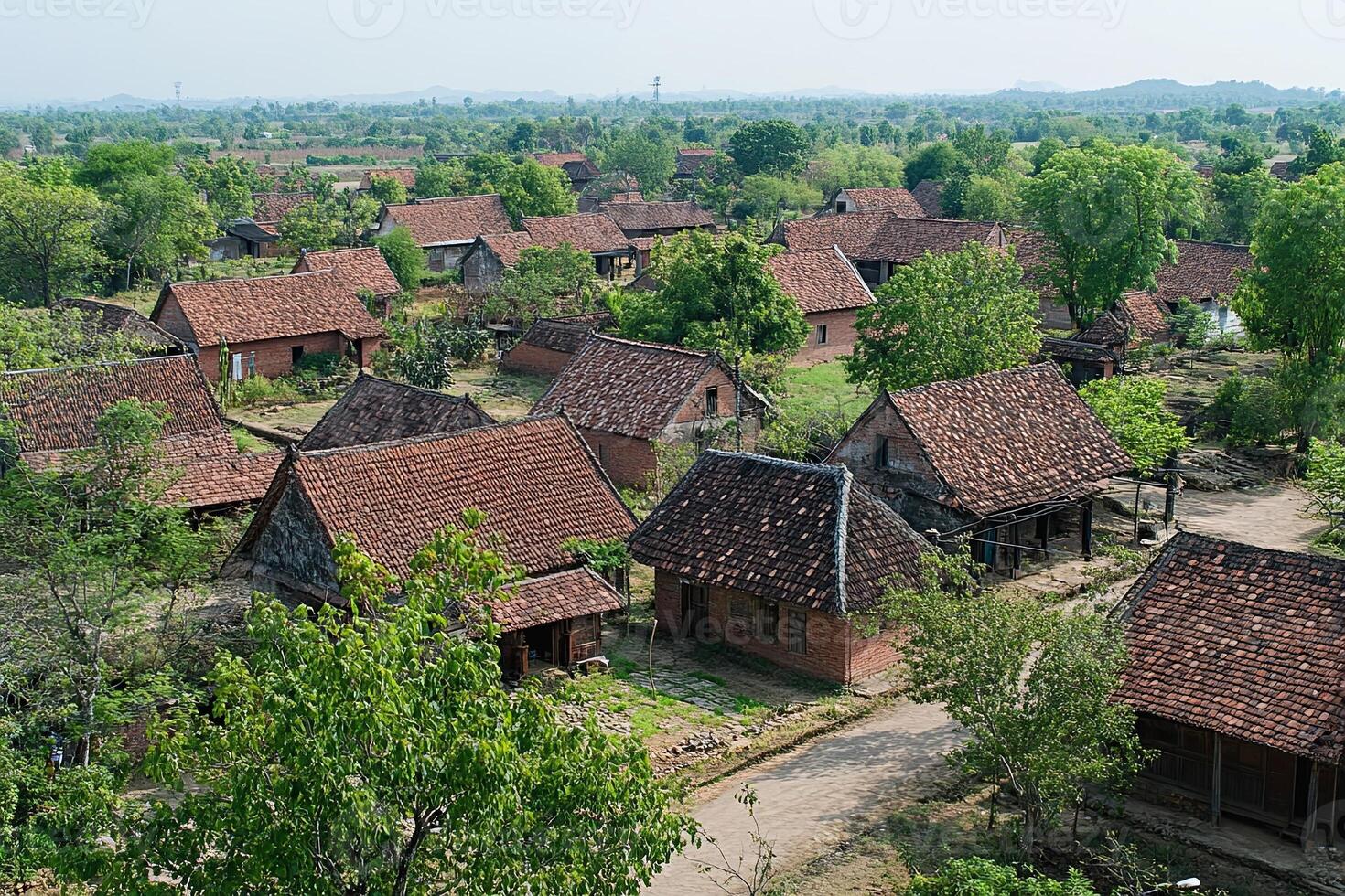 Aerial view of a rural village with traditional houses and lush greenery. photo