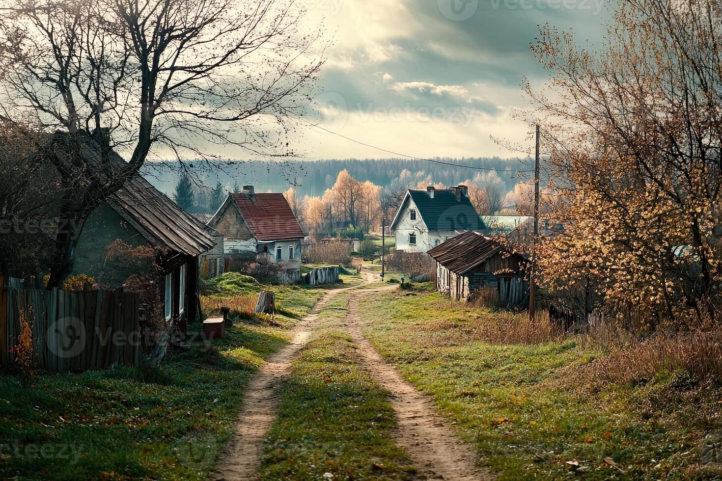 Picturesque autumn village road with houses. photo