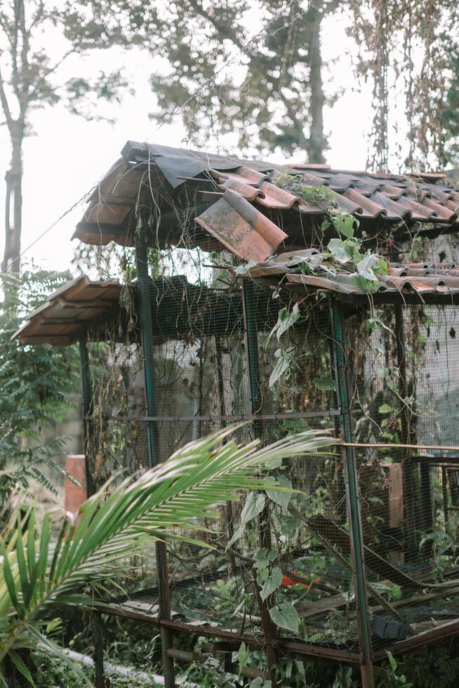 An old, weathered birdcage showing signs of wear and tear, with rusted bars and fading paint photo