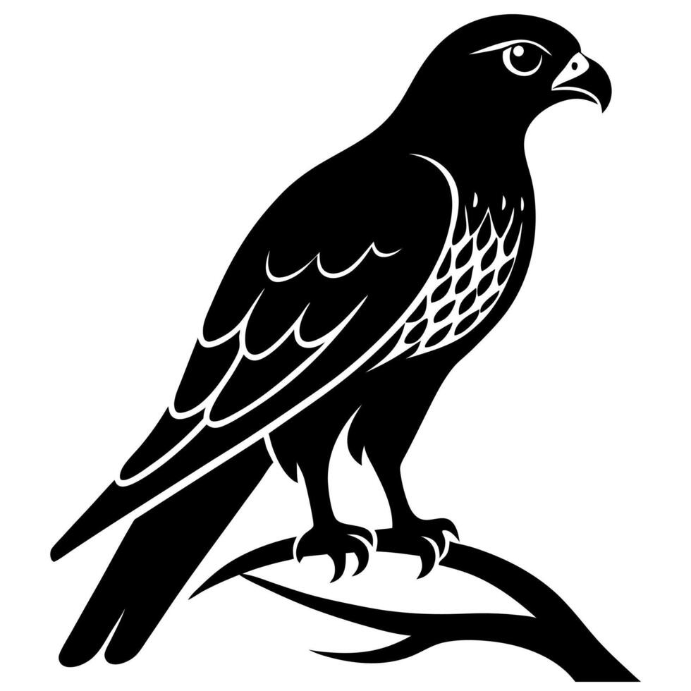 Black and white silhouette of a hawk vector