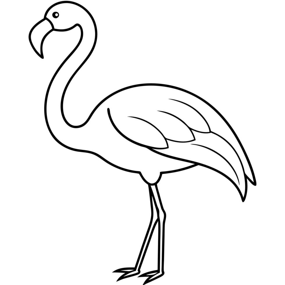 Flamingo coloring pages for kids vector