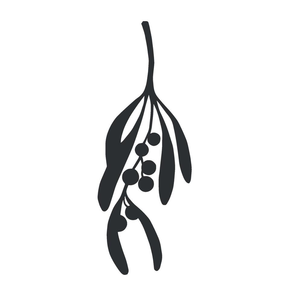 Mistletoe twig with berries and leaves. Christmas traditional plant. graphic illustration. Winter holiday decoration romantic background. Festive clipart for postcard, window, print, packaging. vector