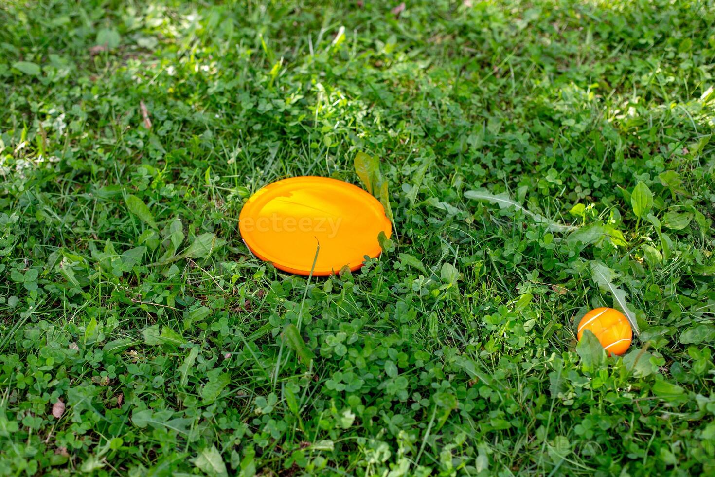 Bright orange disc on lush green grass, outdoor play scene photo