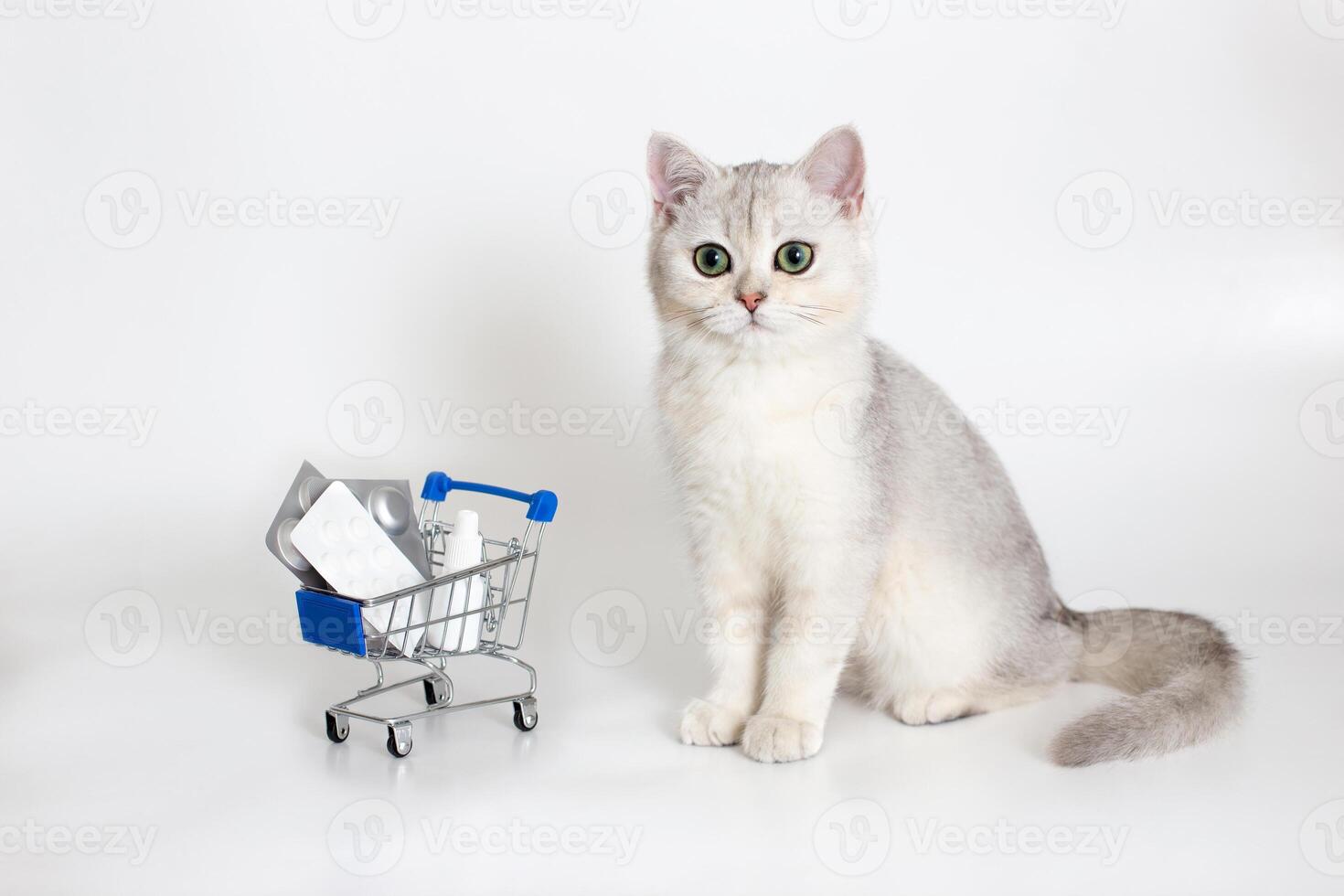 White and gray cat sits on a white background with a shopping trolley full of pills and medicines. photo