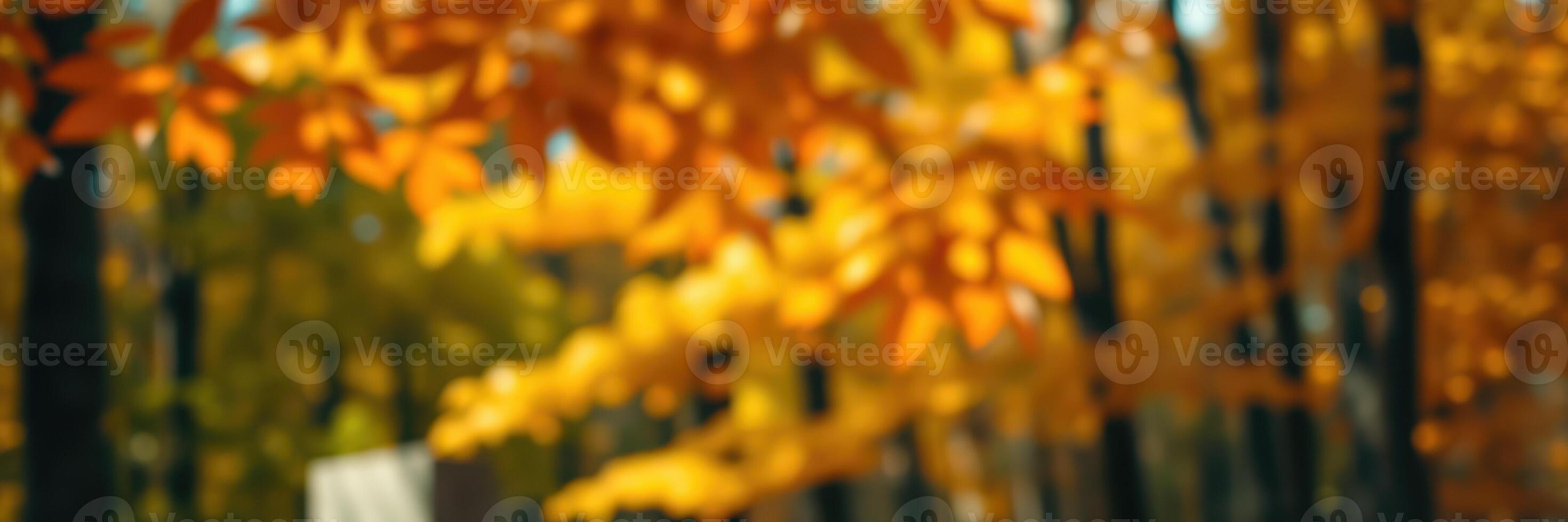 Vibrant autumn leaves create a warm atmosphere in a tranquil forest during a sunny day in October photo