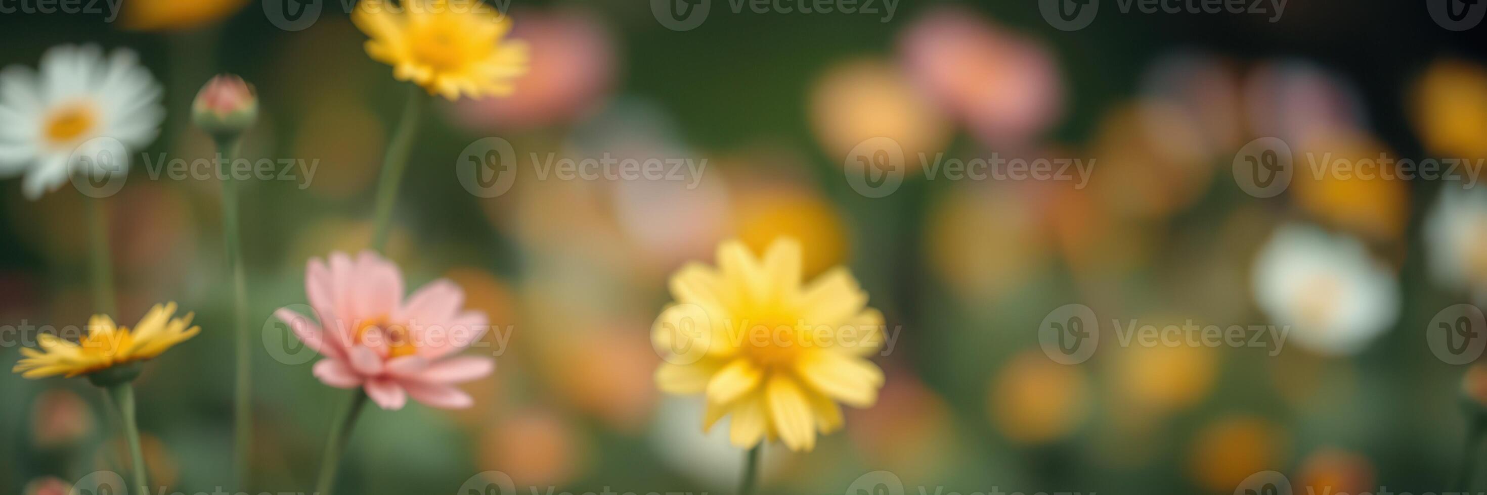 Colorful wildflowers bloom in a vibrant meadow during springtime in an outdoor garden photo