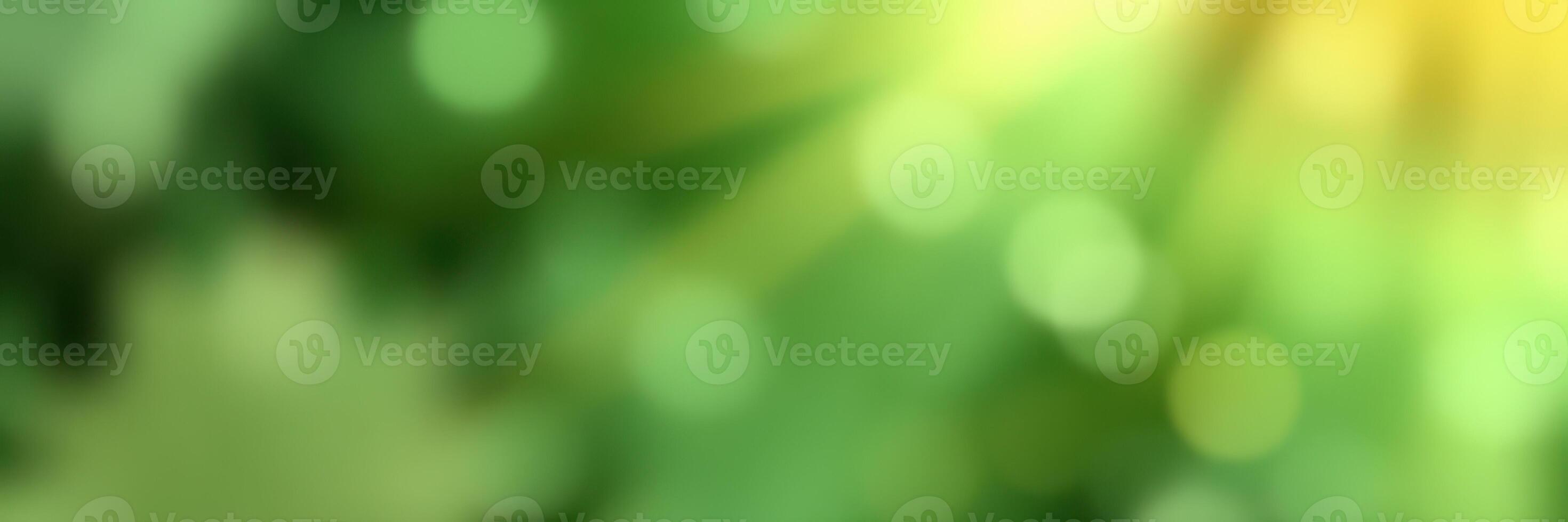 Vibrant green nature background with soft bokeh effect highlighting natural beauty on a sunny day photo