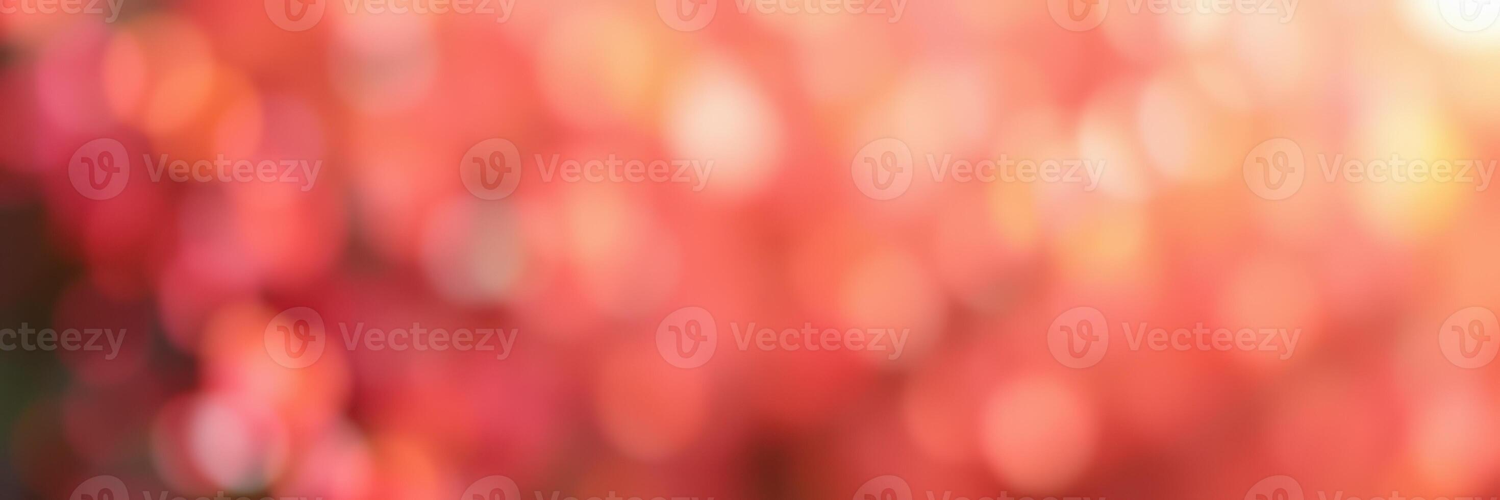 Colorful bokeh effect showcasing blurred vibrant hues in an outdoor setting during golden hour photo