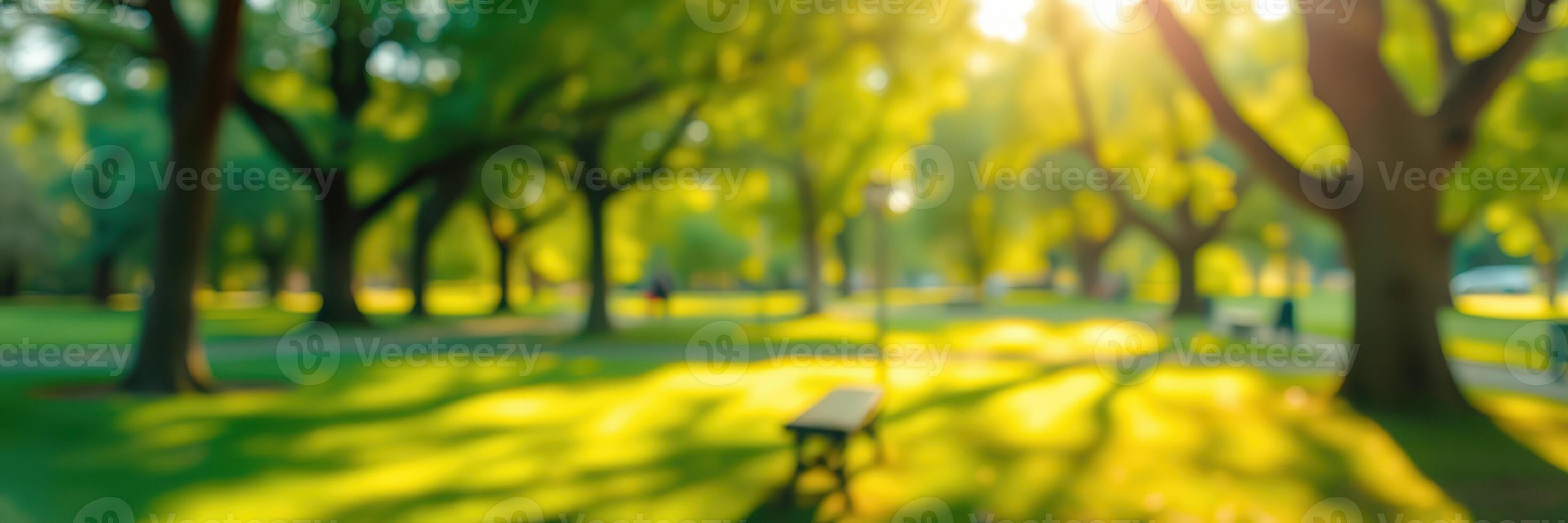 Lush green park in sunny afternoon light with benches and vibrant trees creating a serene environment for relaxation photo
