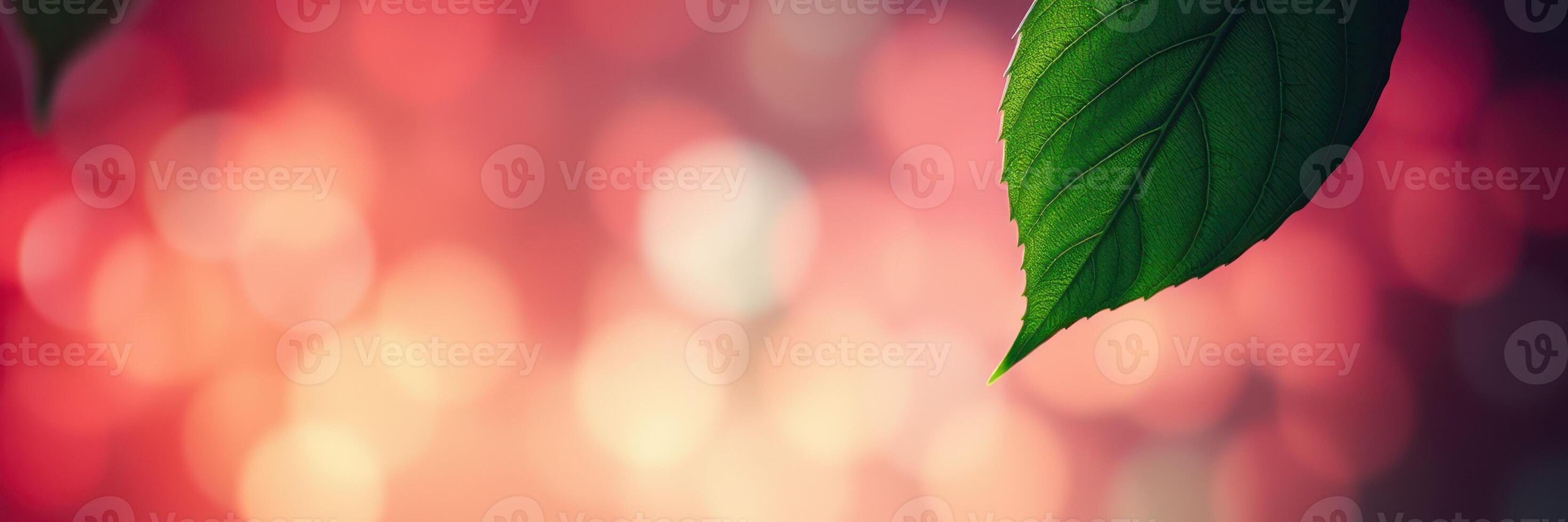 Leaf against a vibrant blurred background showcasing autumn colors with a warm glow photo