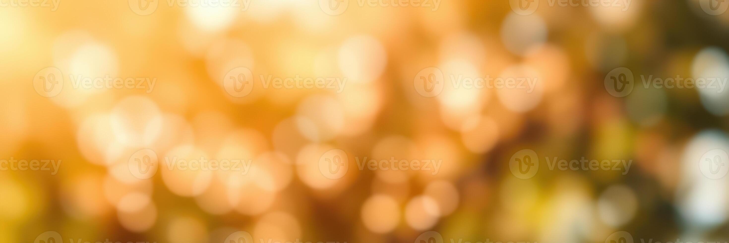 Soft sunlight filtering through leaves creates a dreamy bokeh effect in a serene garden setting during late afternoon photo