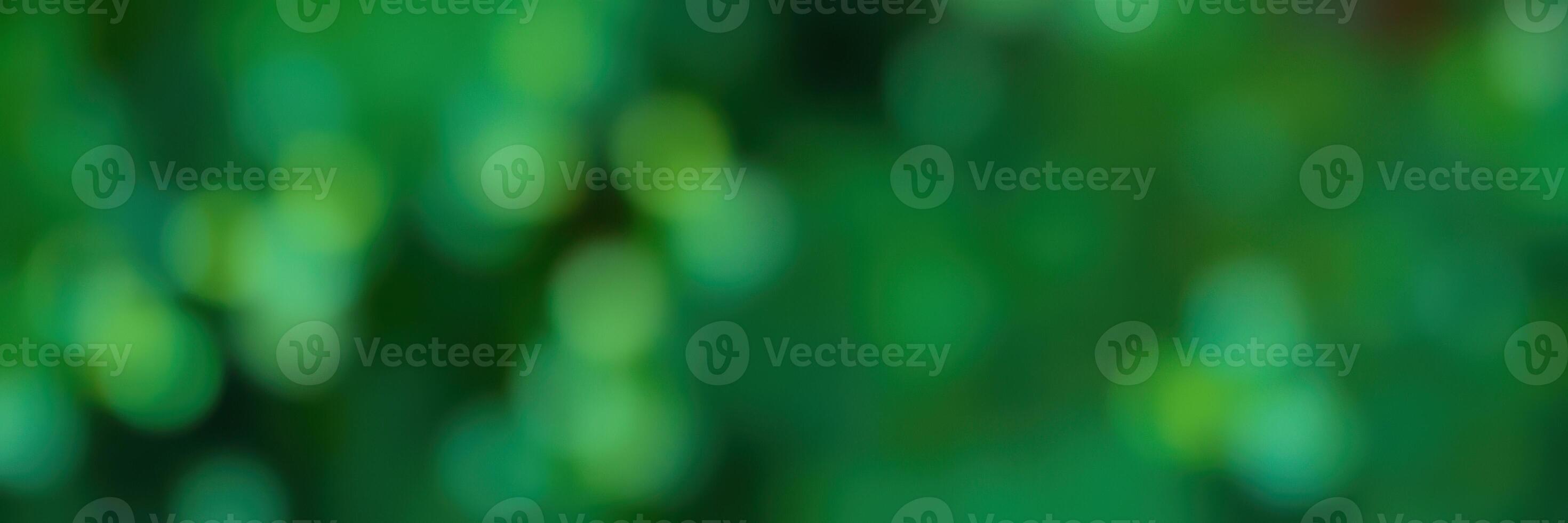 Beautiful lush green foliage with soft bokeh effects captured in bright daylight photo