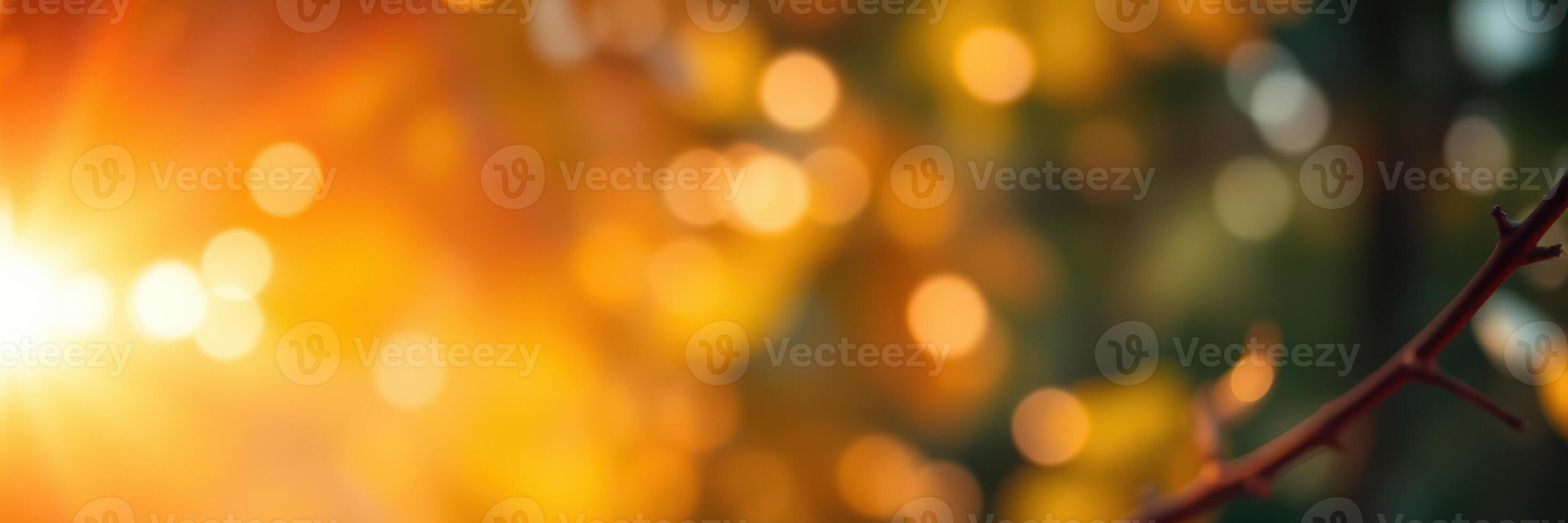 Warm sunlight filters through trees creating a soft bokeh effect in a serene outdoor setting during autumn photo