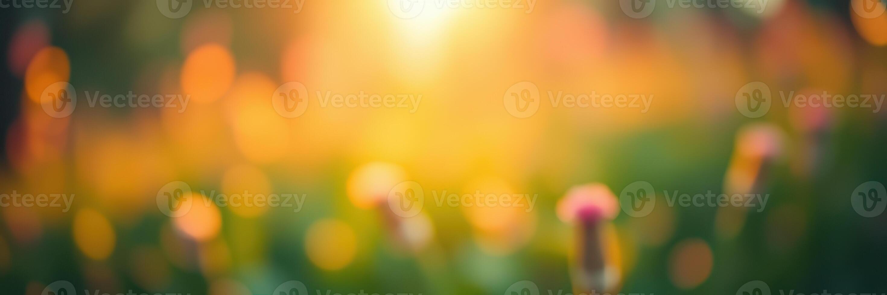 Vibrant sunset creating a warm glow over blooming flowers in a garden during late afternoon photo