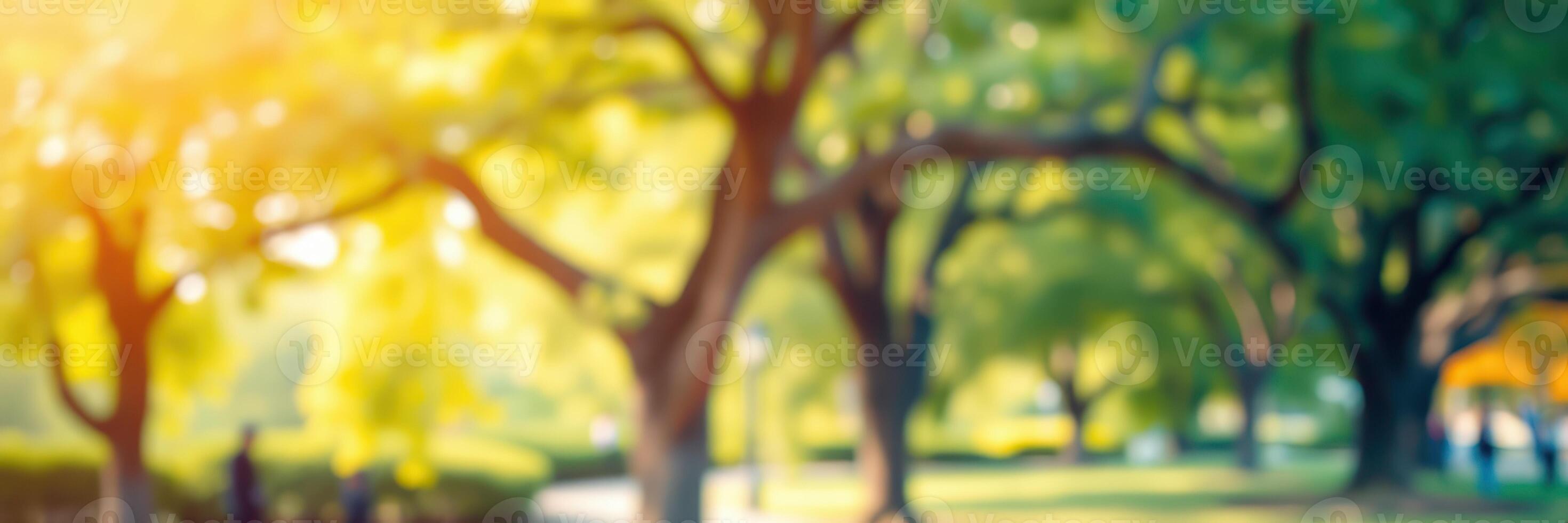 Sunlight filters through vibrant trees in a peaceful park setting during a warm afternoon filled with leisure photo