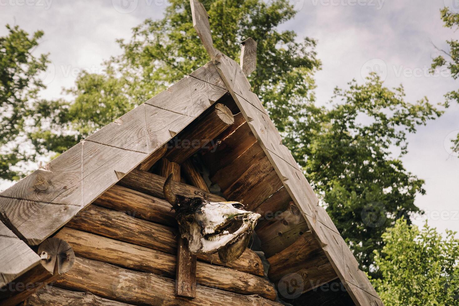 A close-up of a partially destroyed cattle skull that hangs over the entrance to an old triangular house photo
