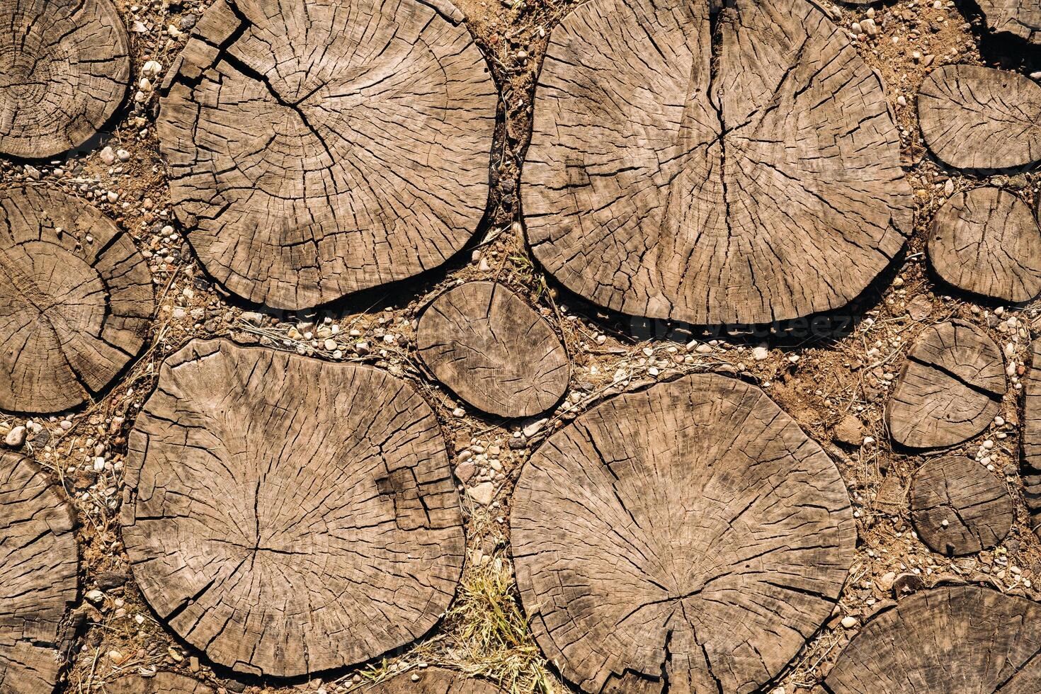 the old path is laid out of round wooden sections. Background of wooden sections of timber photo