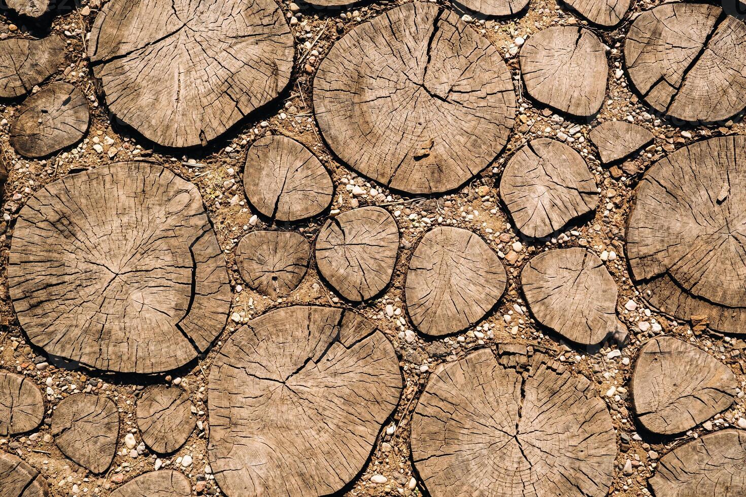 the old path is laid out of round wooden sections. Background of wooden sections of timber photo