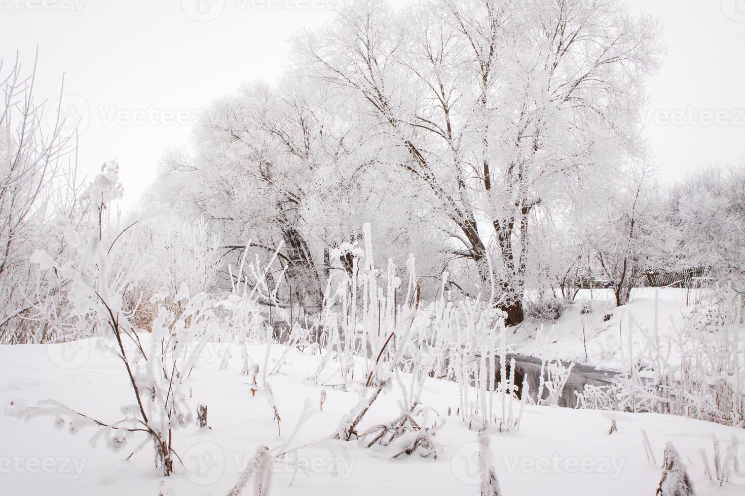 Snow-covered landscape of open spaces near the river. Snowy weather photo