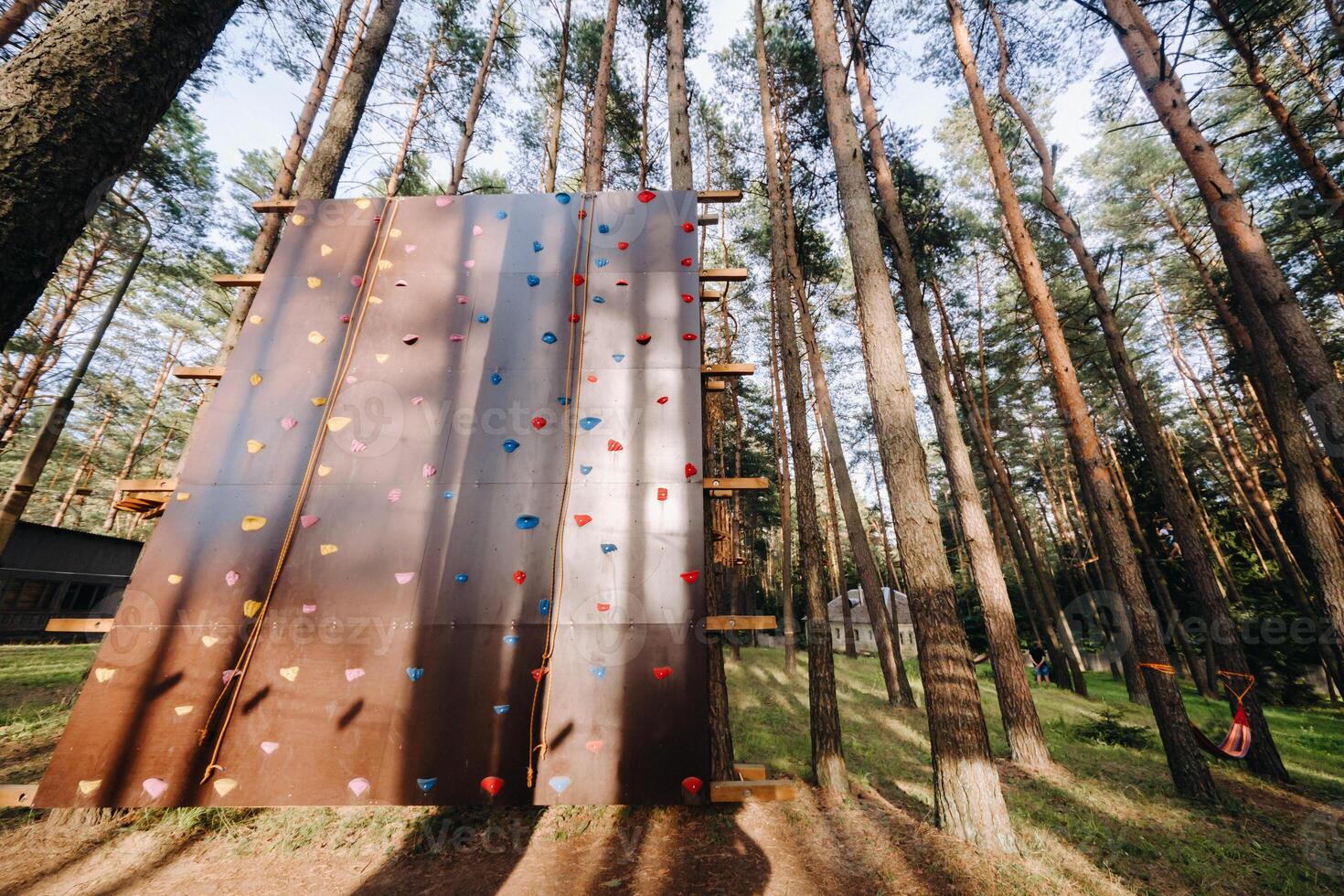 Rope park. Climbing wall in the forest photo