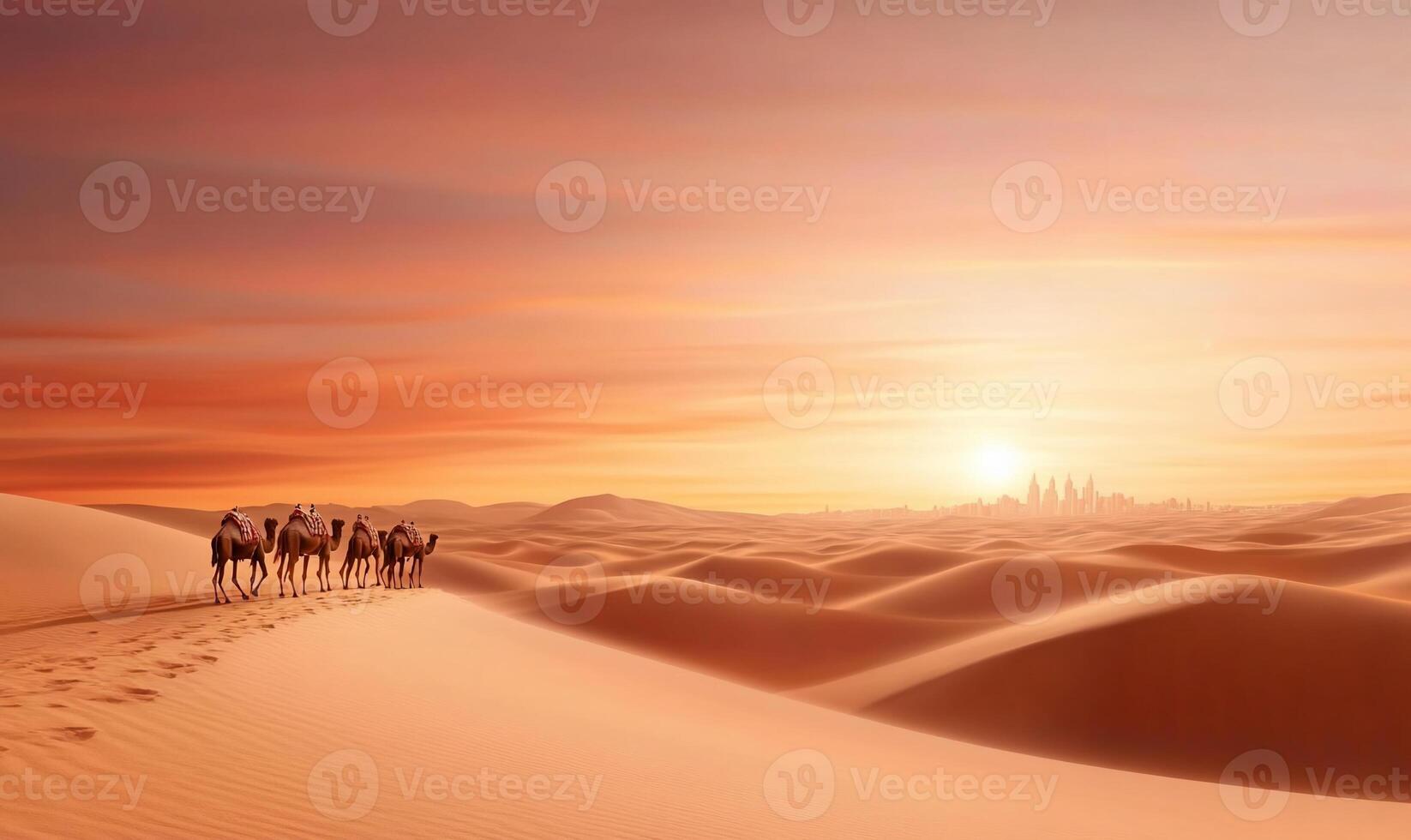 Camels in the desert at sunset photo