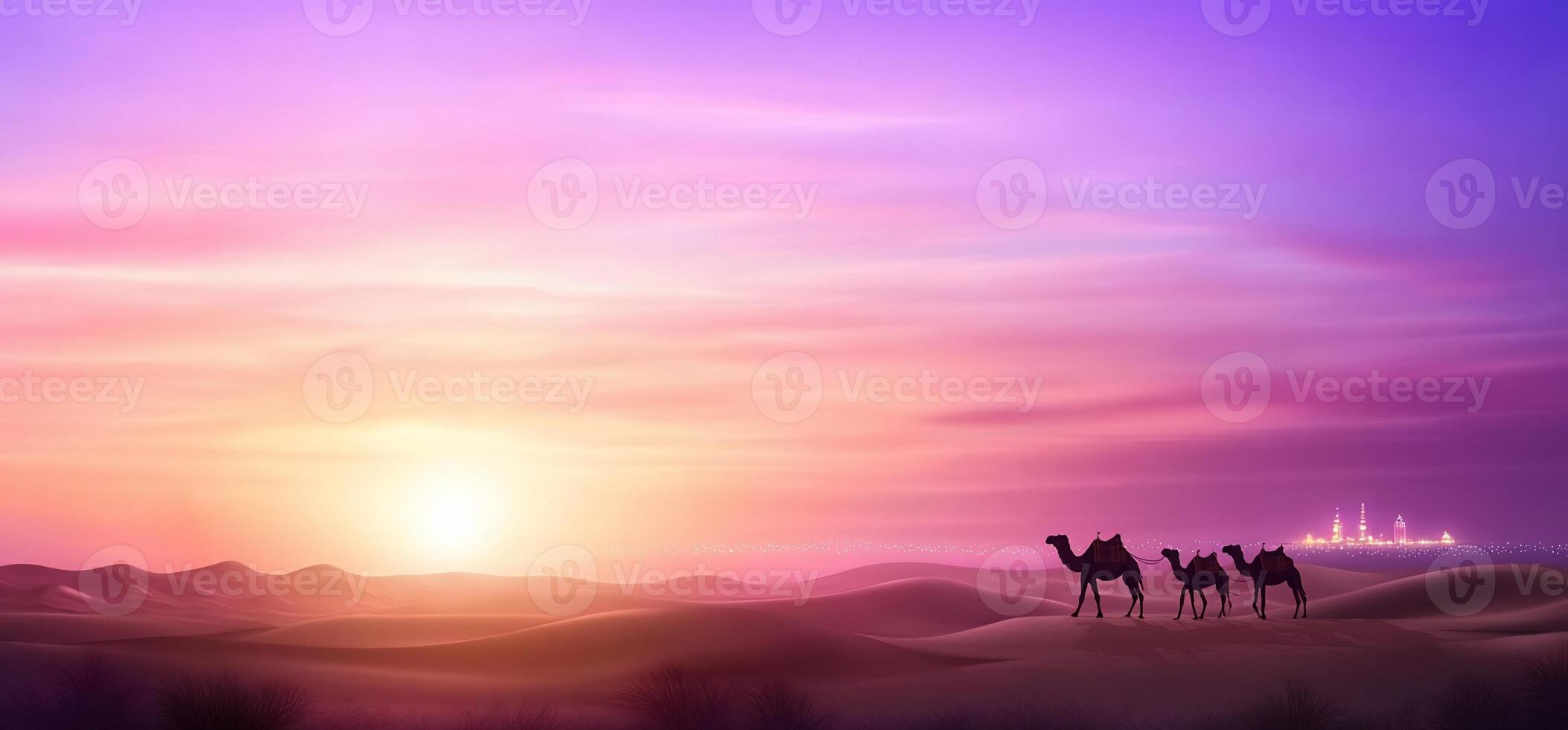 Camels in the desert at sunset photo