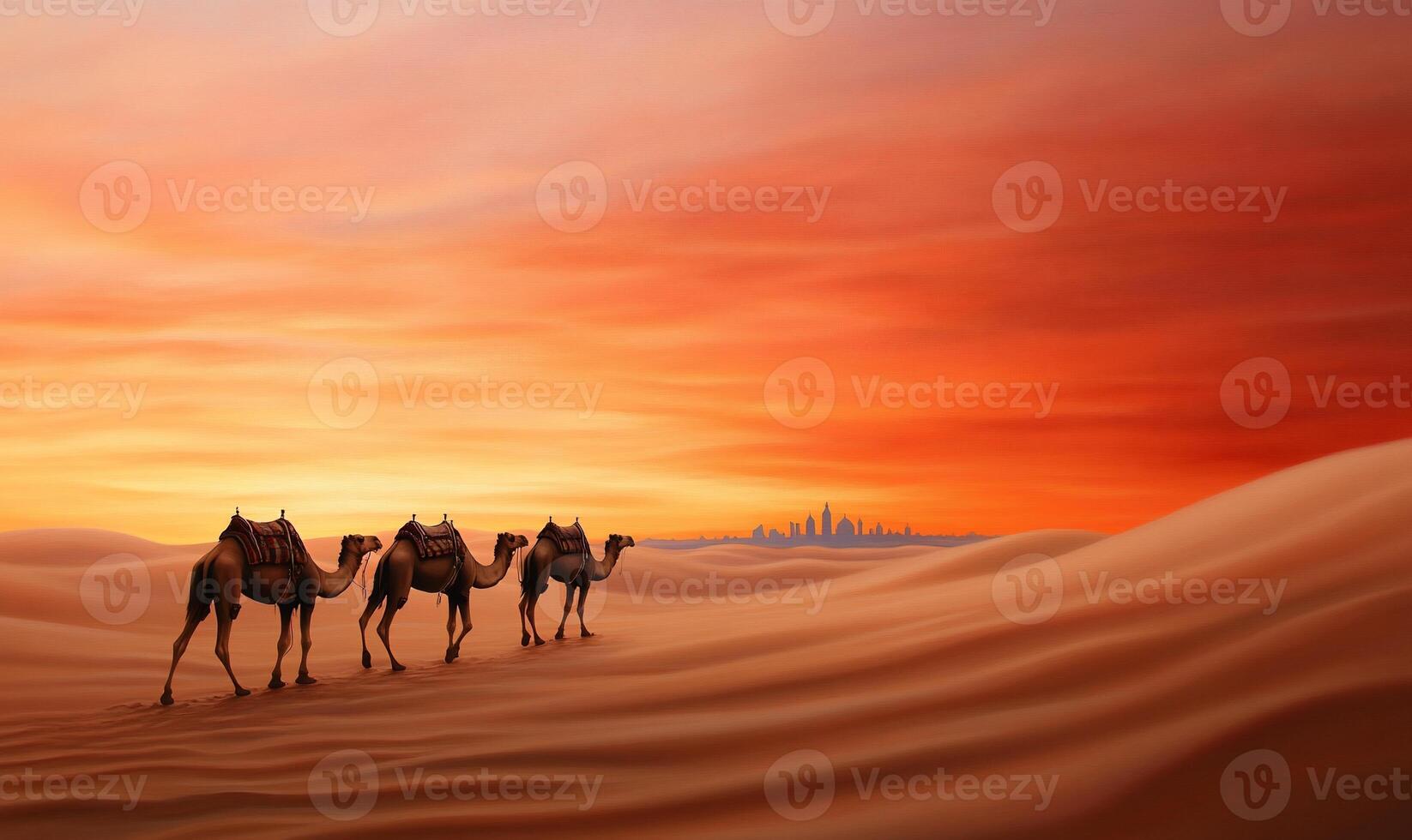 Three camels walking in the desert at sunset photo