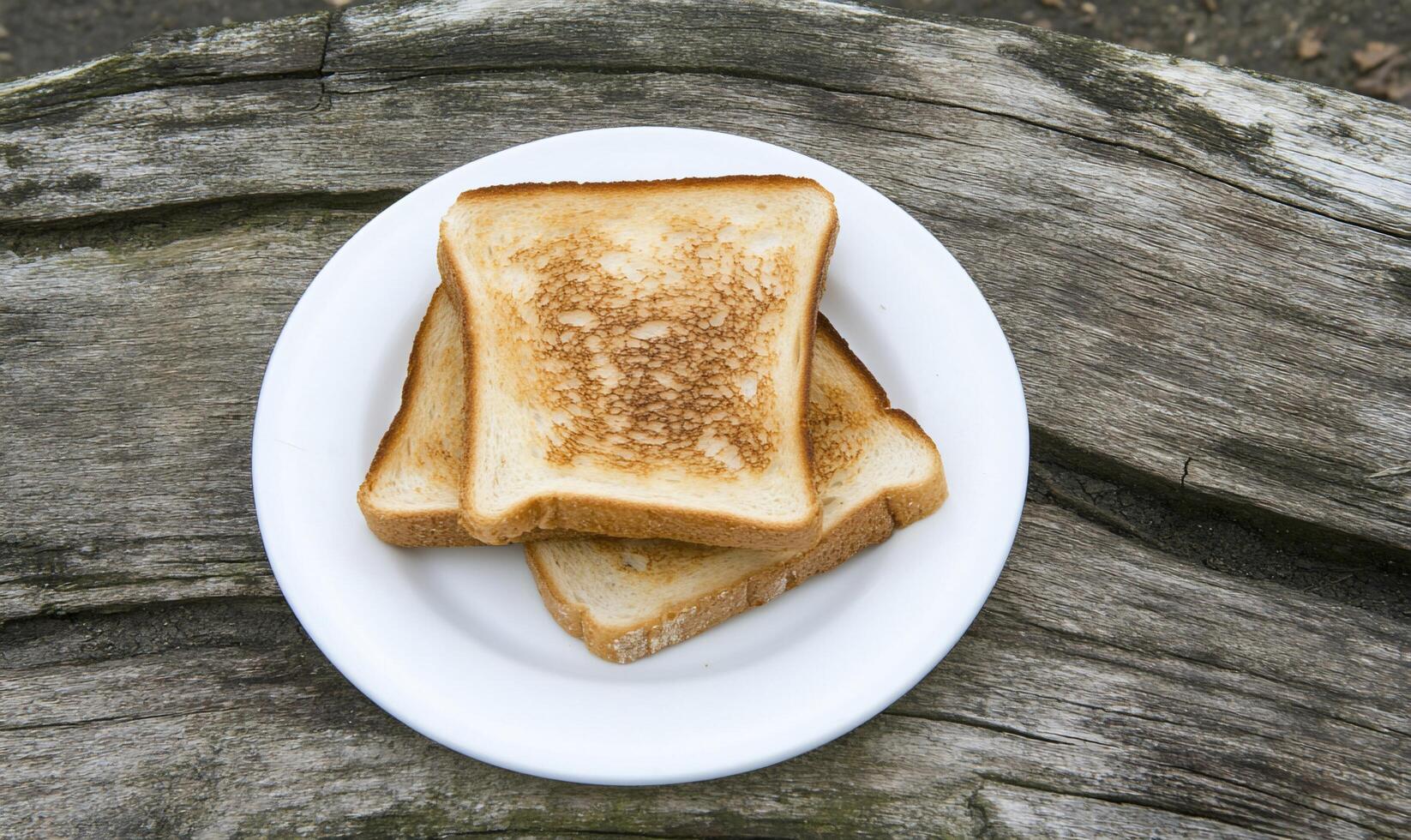 A white plate with three pieces of toast on it photo