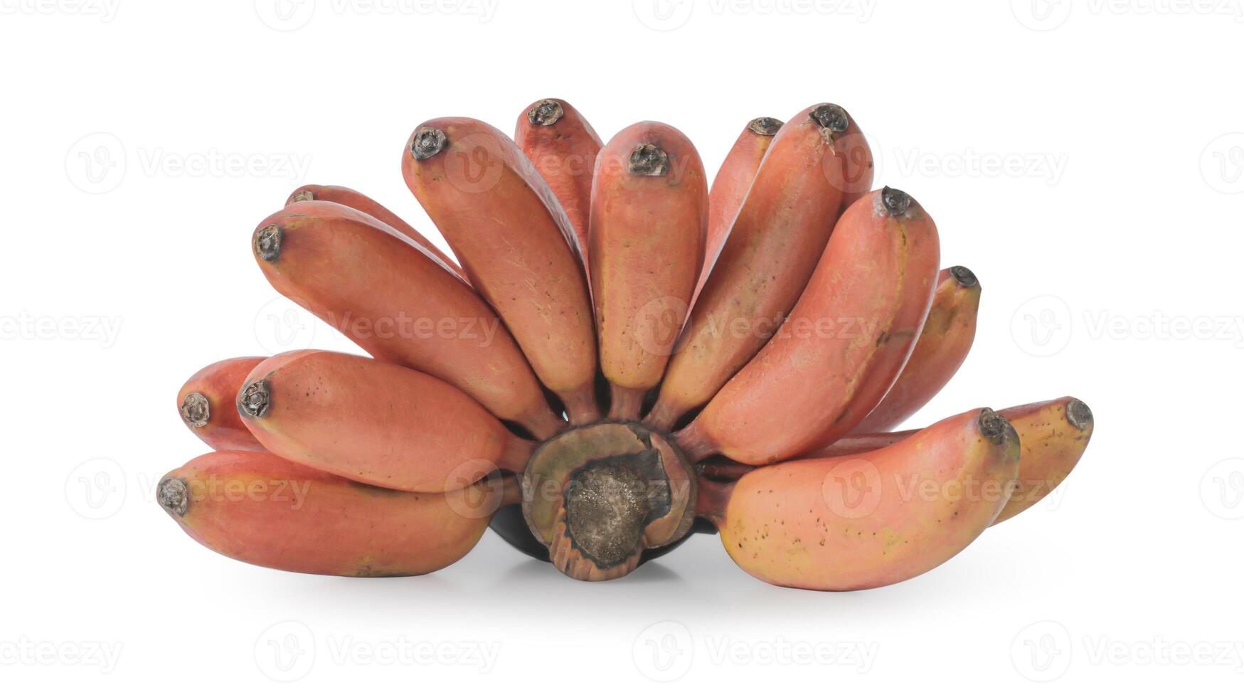 red bananas on a white background. The bananas are arranged in a cluster and are a bright red color. The bananas are ripe and ready to eat. photo