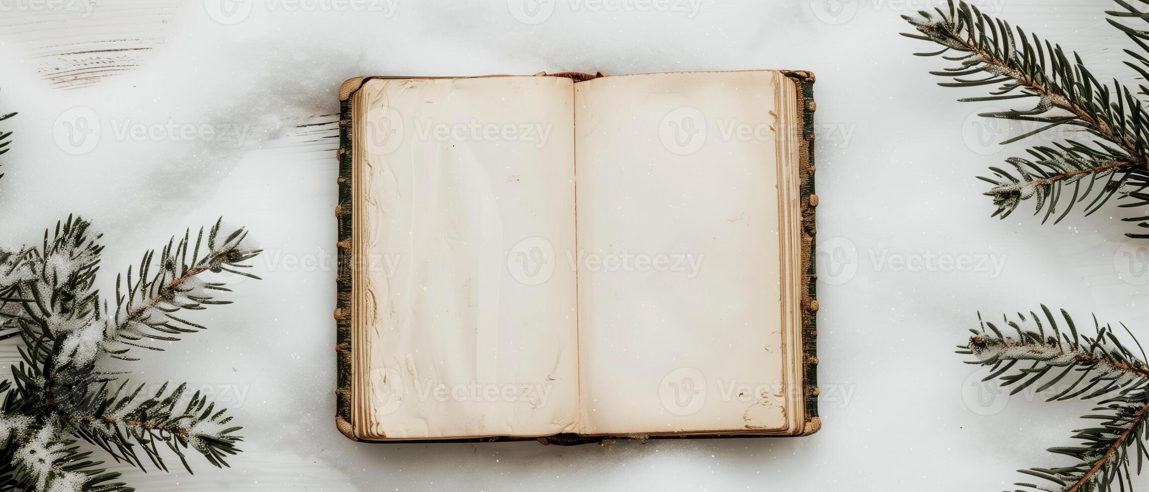 An open vintage book lies on snow, surrounded by snow-covered pine branches. photo