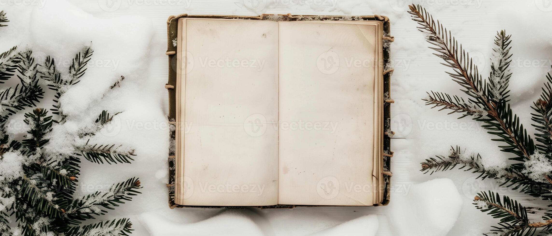 An open vintage book lies on snow, surrounded by snow-covered pine branches. photo