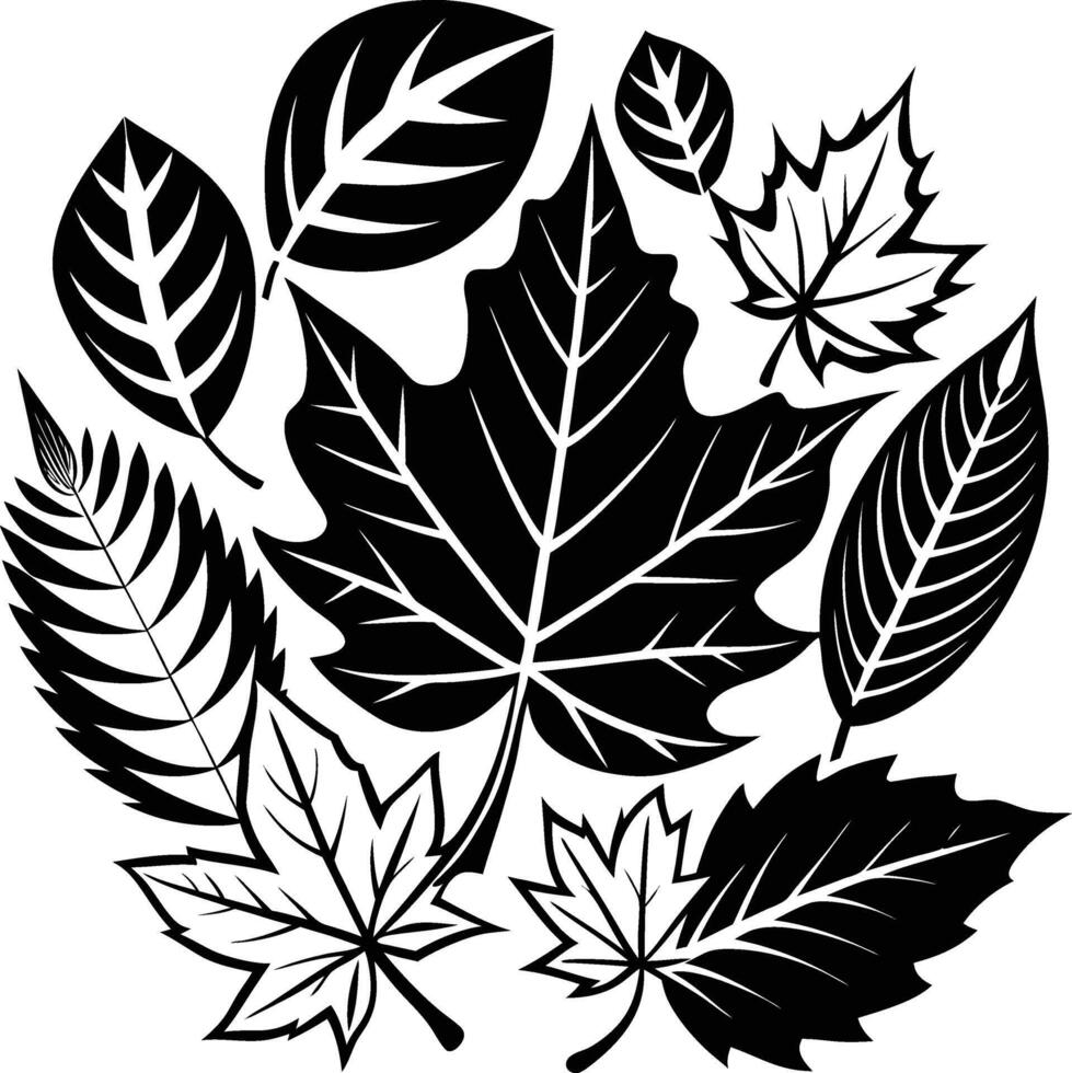 Autumn leaves design vector
