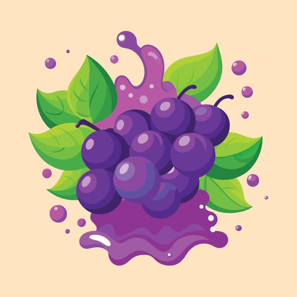 Black or dark red grape in water splash vector