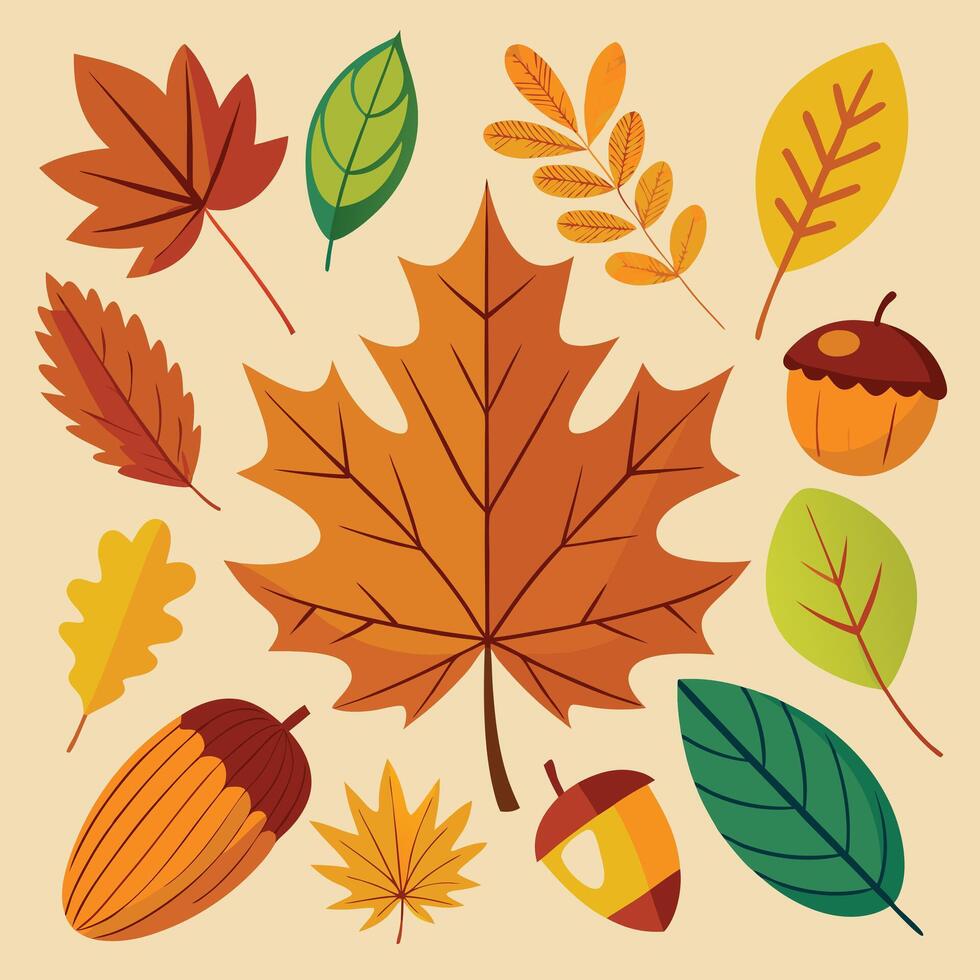 Autumn leaves design vector