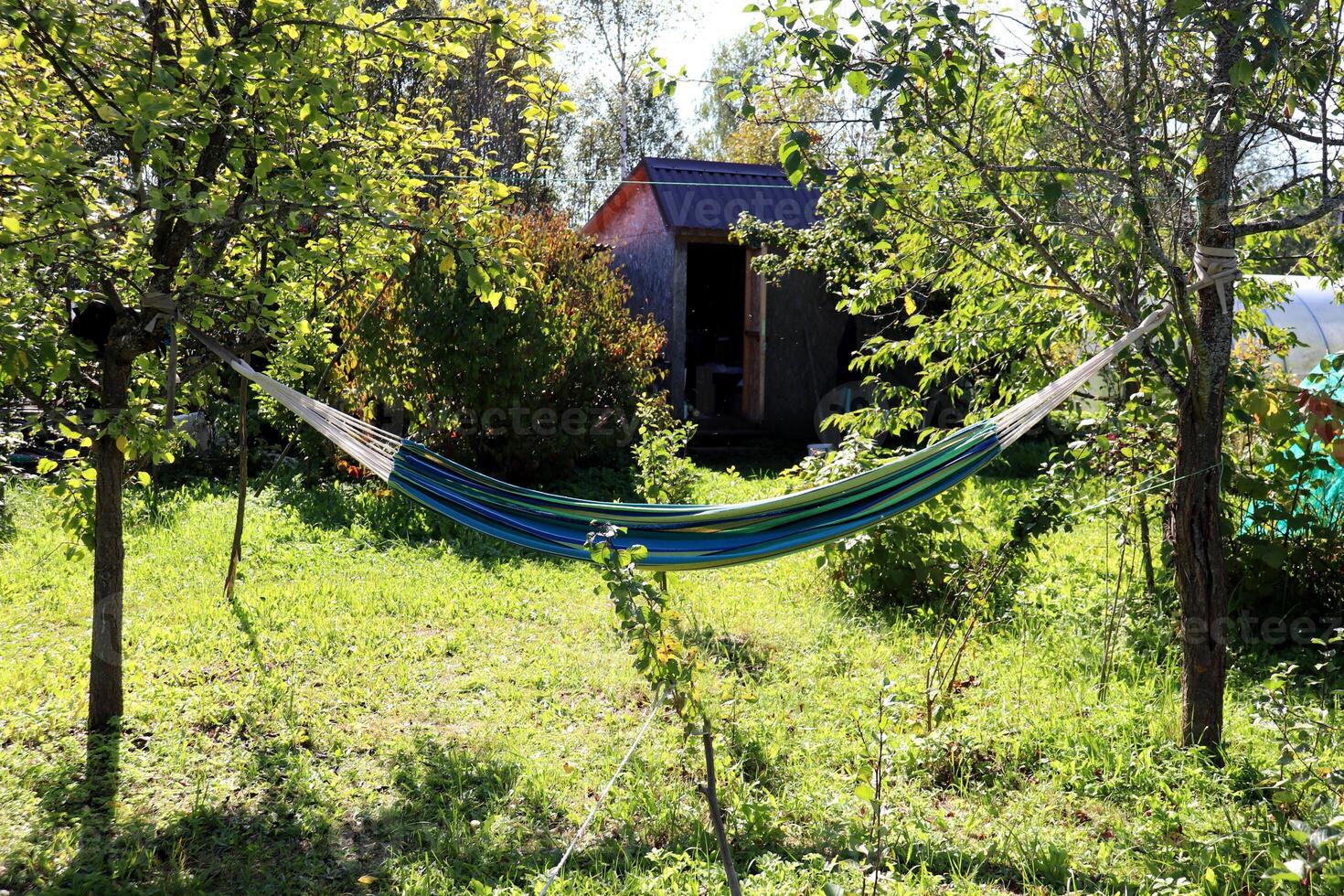 A striped hammock hangs between apple trees in a garden opposite a barn photo
