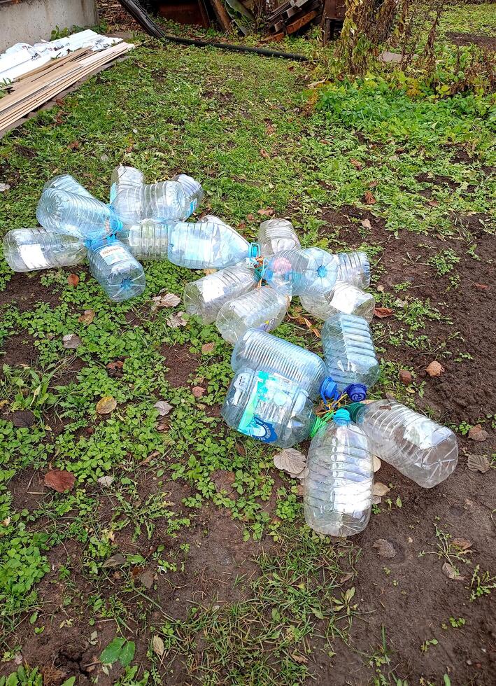 Klin, Moscow region, Russia - 11.10.2024 - Scattered empty plastic five-liter bottles with caps from under water on the grass in the garden near a rural house. Environmental protection, waste sorting photo