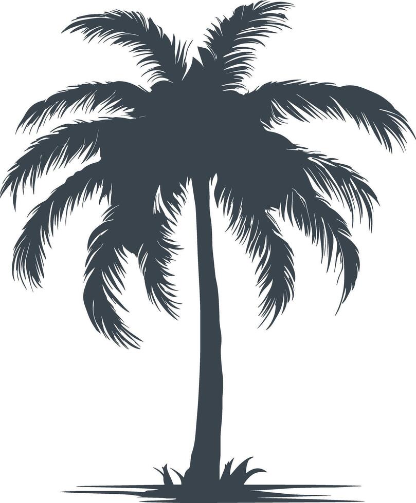 Palm tree silhouette vector