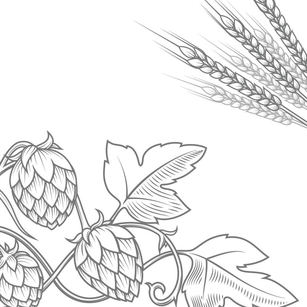 Stylish hop branch hand drawn illustration vector