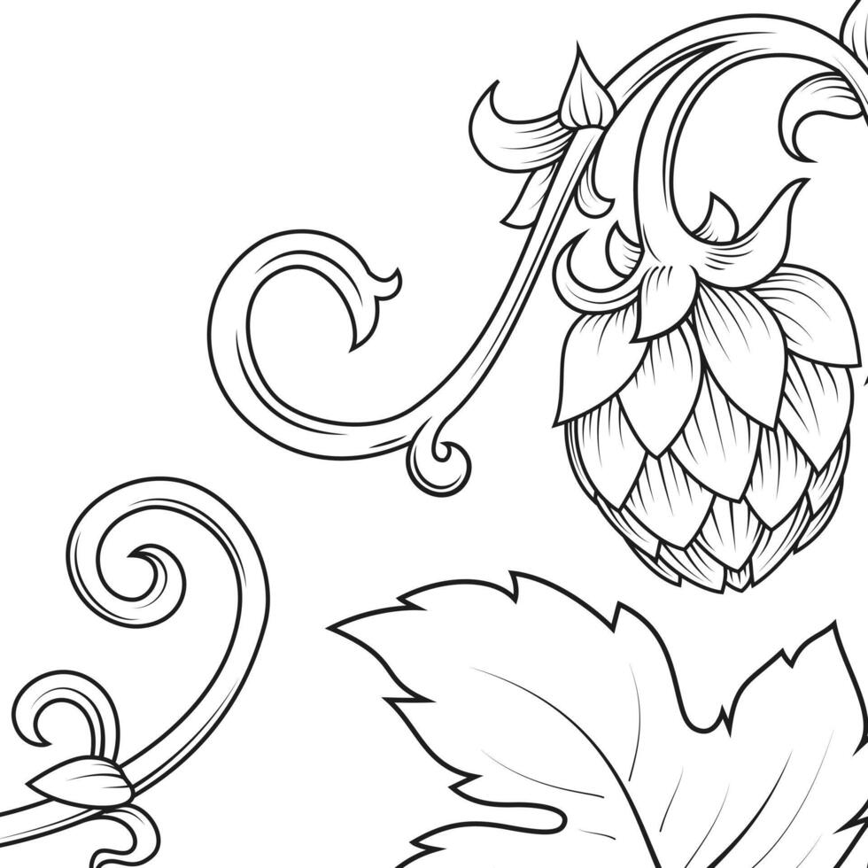 Stylish hop branch hand drawn illustration vector