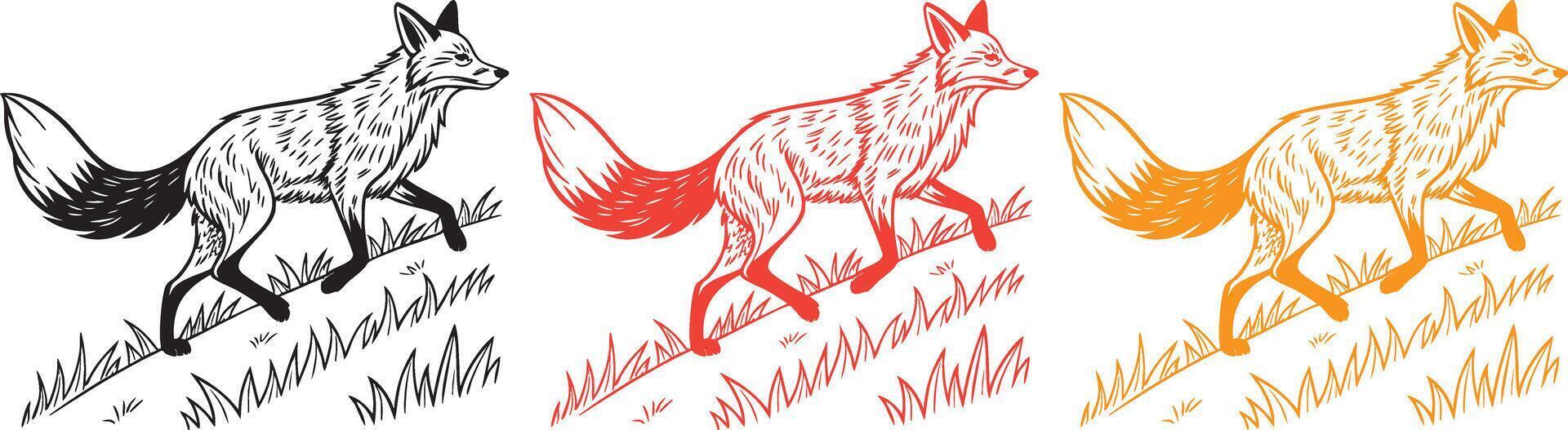 Foxes in different colors vector