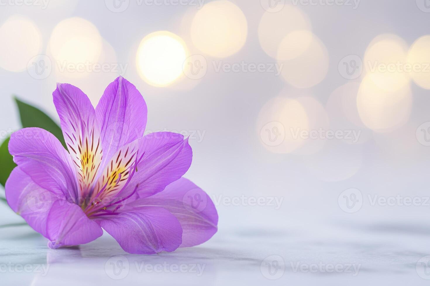 Artistic still life featuring a vibrant purple Alstroemeria flower on a polished marble surface with delicate bokeh light in the background photo