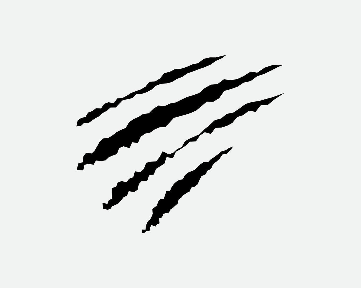 Claws scratches, animal monster mark design element, tattoo and decor for halloween. Black silhouette. vector