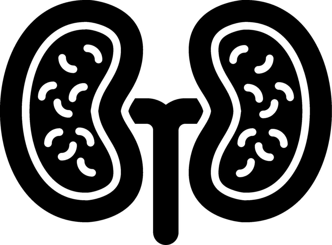 Kidney Glyph Icon vector