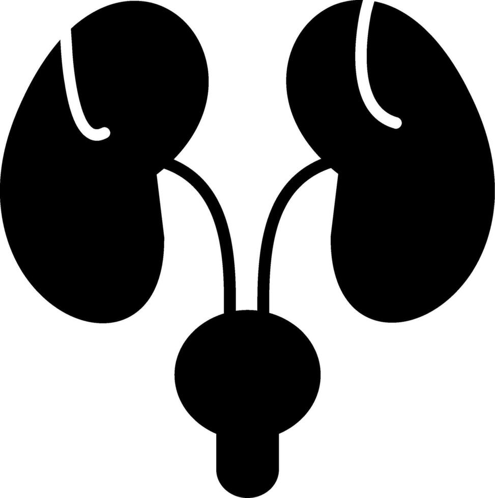 Bladder Glyph Icon vector