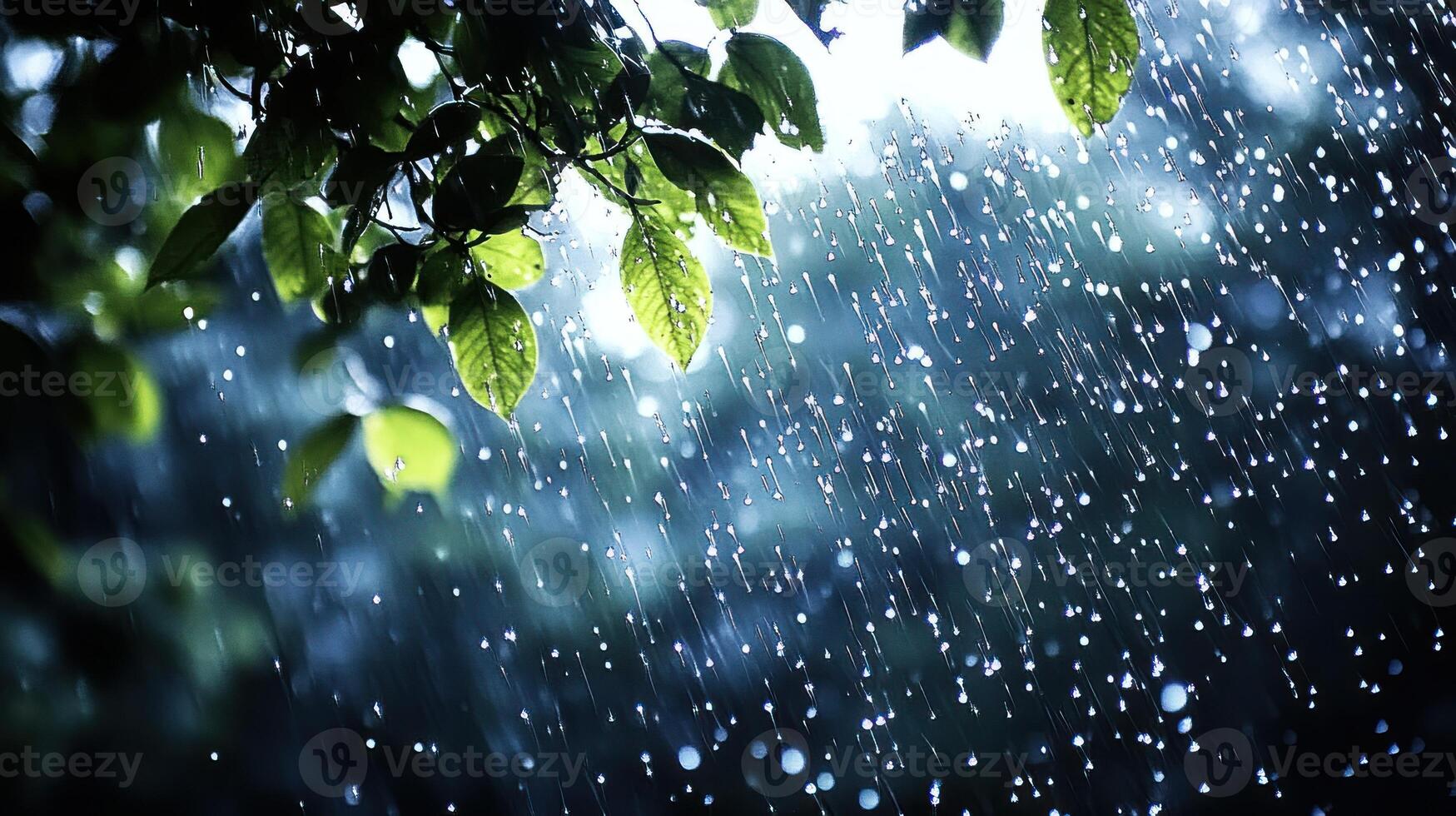 Rain cascades down lush green leaves, creating a peaceful atmosphere in the forest during a quiet afternoon photo